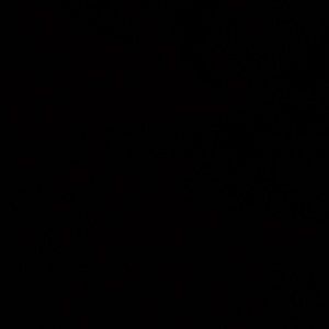 Meet your Posher, Ledricka